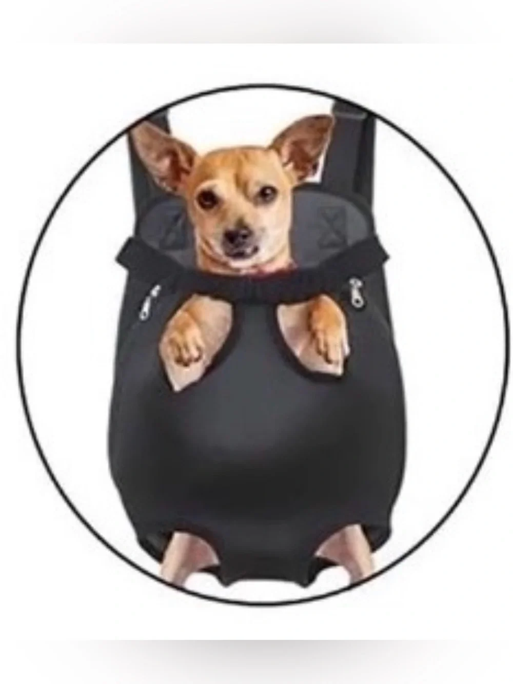Pet Front Carrier Backpack for Small Dogs and Cats - Black